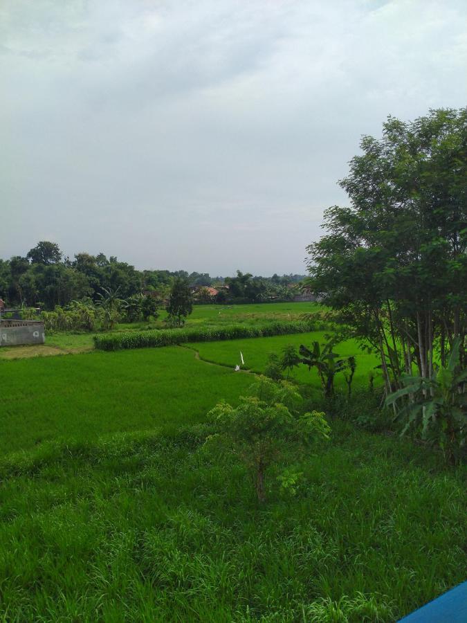 Penginapan Banyu Biruku Kotaanyar Exterior photo